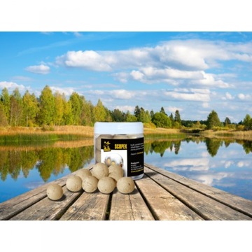 KULKI HACZYKOWE INVADER SCOPEX 250ml