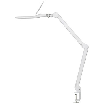 Lupa z oświetleniem LED TOOLCRAFT x1.75