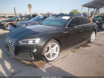 Audi A5 F5 2019 Audi A5 Limousine AUDI A5 45 PREMIUM 2.0 Benzyna 248KM, zdjęcie 6