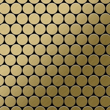 ALLOY Dollar-Ti-GB Mozaika Tytan szlifowana