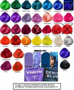 LA RICHE Directions Тонер-краска ALPINE GREEN