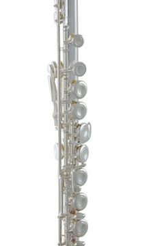 Roy Benson FL-402E C Поперечная флейта