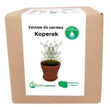 Zestaw do Uprawy zioła KOPEREK 140 nasion X