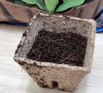 ПОЧВА ДЛЯ ПОСЕВА РАСТЕНИЙ Торфяной субстрат 20л