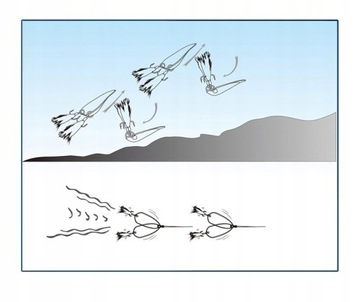 СПИННЕР Лист ЩУКА САНДЕР 15г 5,1см 2 якоря