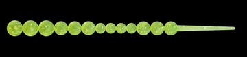 IKRA - SALMON EGG RELAX 8CM, 1SZT. OKOŃ, PSTRĄG, ŁOSOŚ - SE3-TS018