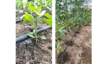 НАБОР ШЛАНГОВ ДЛЯ КАПЕЛЬНОГО ПОЛИВАНИЯ 50м+ 56шт.