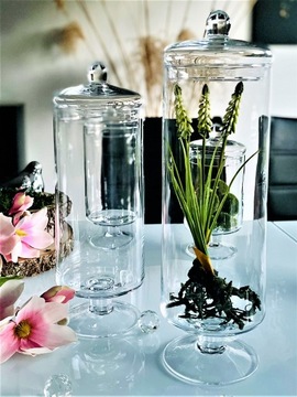 Стеклянный контейнер для шоколада h20 d12