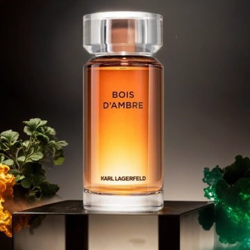 KARL LAGERFELD BOIS D'AMBRE 100ML Туалетная вода МУЖСКИЕ ДУХИ