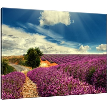 Лавандовый Пейзаж Лавандовое Поле 40x30 Картина Триптих