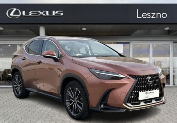 Lexus NX II SUV Facelifting 2.5 450h+ 309KM 2024 Lexus NX 450h Omotenashi AWD Salon PL VAT 23 1 wlasciciel Bezwypadkowy, zdjęcie 6