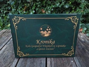 Книга Летописи А3+ горизонтальная, 300 стр.