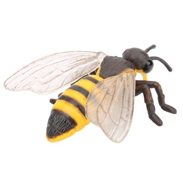 Модель насекомых, игрушечный цикл роста, модель пчелы