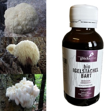 SOPLÓWKA JEŻOWATA Podwójny Esktrakt BIO Hericium erinaceus 100ml