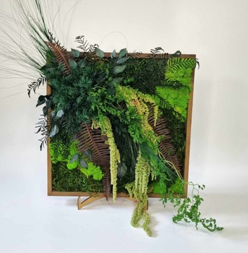 Изображение с мхом и стабилизированными растениями