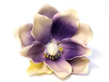 MAGNOLIA PIANKOWA DUŻA GŁÓWKA NA PIKU LILAC CREAM