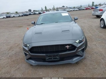 Ford Mustang VI 2020 Ford Mustang 2020 Ford Mustang EcoBoost Fastback 2.3 Benzyna 330KM, zdjęcie 10