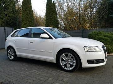 Audi A3 8P Hatchback 3d 2.0 TDI CR 140KM 2009 Audi A3 2.0 TDI 140KM # Klimatr # Ledy # Bi-XENON, zdjęcie 3