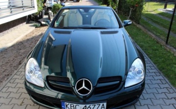 Mercedes SLK R171 Roadster 3.0 V6 (280) 231KM 2006 Mercedes-Benz SLK 3.0 i Skorzana tapicerka cabrio 1 rok gwarancji w cen, zdjęcie 13