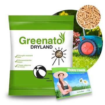 TRAWA ODPORNA NA SUSZĘ TRAWNIK TERENY SUCHE GLEBY NASIONA 2KG