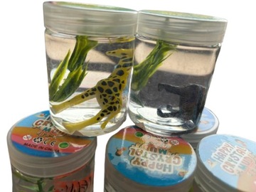 СЛИЗЬ ПЛАСТИК НАНЕСЕН ЖИДКИЙ ПЛАСТИКИН ОБНАРУЖЕНИЕ ДИКИЕ ЖИВОТНЫЕ