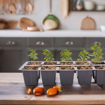 Мини теплица – мультигоршок для посева на 40 ячеек и поднос-подставка.