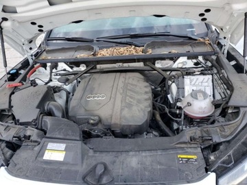 Audi Q5 II 2023 Audi Q5 Premium Plus 45 2023 2.0l 2.0 Benzyna 261KM, zdjęcie 6