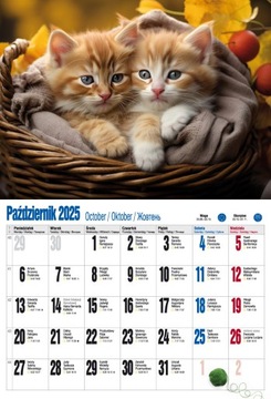 Настенный календарь CATS KITTENS 2024+2025