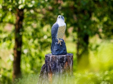 ОТПУСКАТЕЛЬ СОКОЛОВ ПТИЦ, СКВОРКОВ, ГОЛУБЕЙ, МЫШЕЙ, КРУПНЫХ