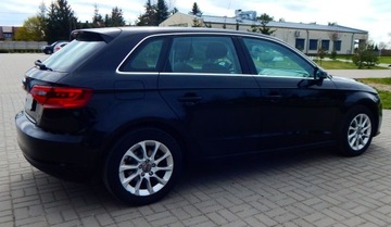 Audi A3 8V Hatchback 3d 1.4 TFSI 122KM 2013 Audi A3 sportback nowy model xenon LED 2x koła bezwypadkowy, zdjęcie 9