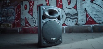 Мобильная колонка PORT 12'' FM 2x MIC UHF TWS аккумулятор