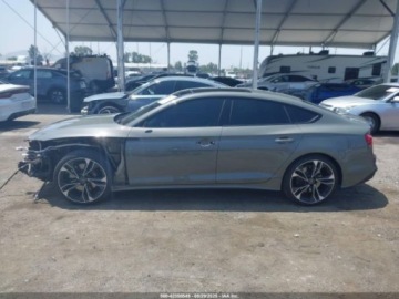 Audi A5 F5 2023 Audi S5 Coupe Sportback Premium Plus Tfsi Quattro Tiptronic 2023 3.0l 3.0, zdjęcie 2