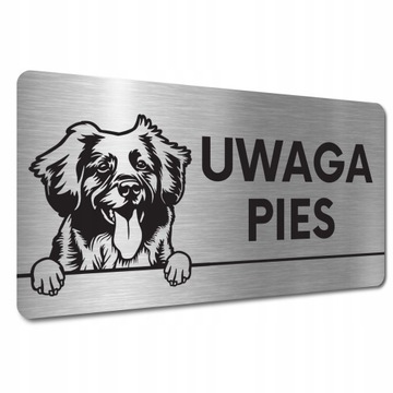 TABLICZKA UWAGA PIES ZŁY Retriever z Nowej Szkocji TABLICZKA UWAGA ZŁY PIES