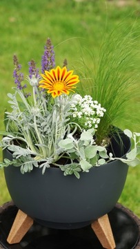 3x горшка-чаши ROMA 290 Круглый цветочный горшок + ножки