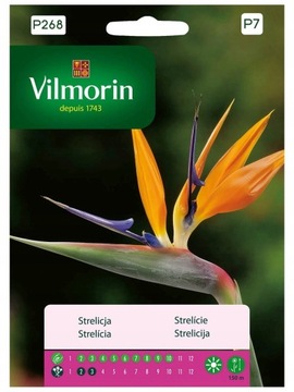 STRELICJA KRÓLEWSKA 10 SZT VILMORIN EXOTIC HOBBY