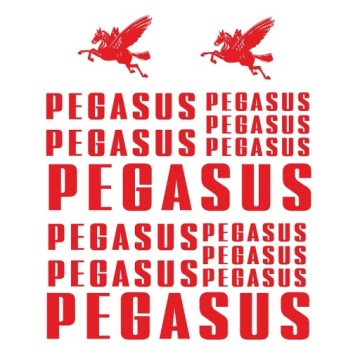 Zestaw naklejek PEGASUS na rower NAKLEJKI