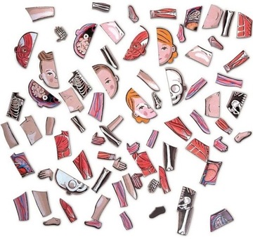 МАГНИТНАЯ ПАЗЛ ЧЕЛОВЕЧЕСКОЕ ТЕЛО 7+ ЯНОД