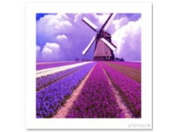 Haft Diamentowy, Obraz, Mozaika Diamentowa Diamond Painting, WIATRAK 30x30c