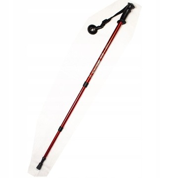 KIJKI DO CHODZENIA NORDIC WALKING TREKKING 135 cm