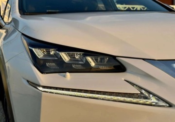 Lexus NX I SUV 300h 197KM 2016 Lexus NX Lexus NX 300h F Sport AWD 2.5 Hybryda 197KM, zdjęcie 19