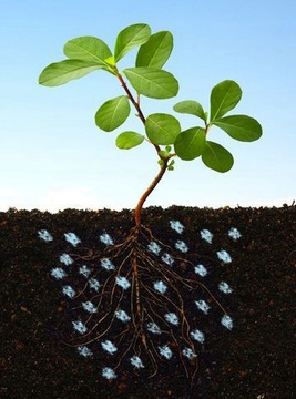 САДОВЫЙ ГИДРОГЕЛЬ 2 КГ ЗАДЕРЖИВАЕТ ВОДУ АГРОГЕЛЬ