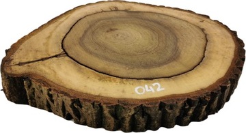 Срез грецкого ореха 53х45 Необычной формы