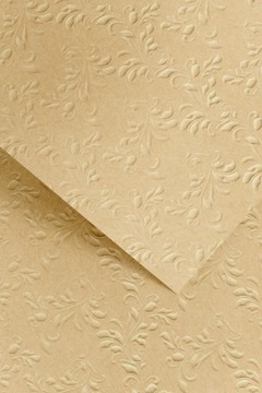 Papier Karton ozdobny NATURE ciemnobeżowy z tłoczeniem A4 220g 20ark