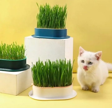 Травяной горшок для кошки, ящик для проращивания, гидропонный ящик
