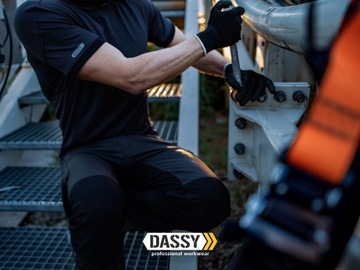 Мужская рабочая футболка Dassy Nexus S