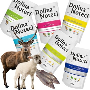 Dolina Noteci Premium Mix 10 smaków 30x 500g