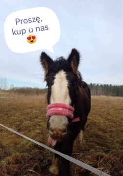 МЕХОВАЯ ШРУКА COB красная York Softy для лошади