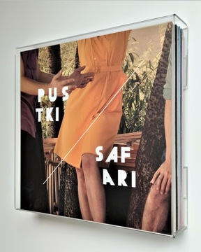 Полка-каркас-подставка для виниловых пластинок и винилов LAVINOLA