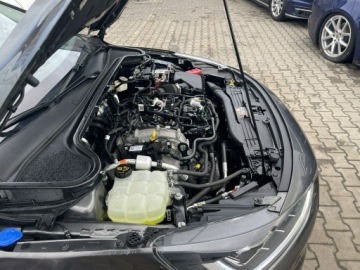 Ford Focus IV 2024 Ford Focus Podgrzewane: fotele, kierownica, szyba, zdjęcie 16