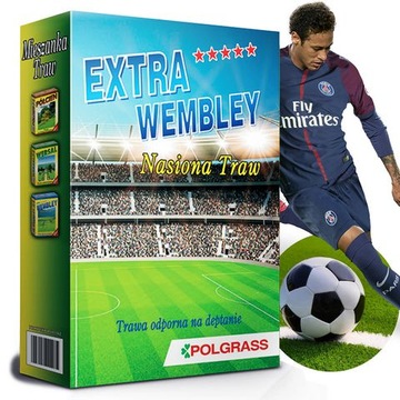 Trawa Sportowa Nasiona Trawnik Boisko Wembley 0,9